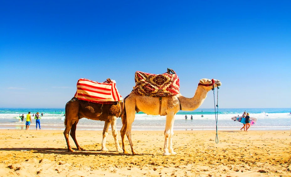 Taste of Morocco Trip